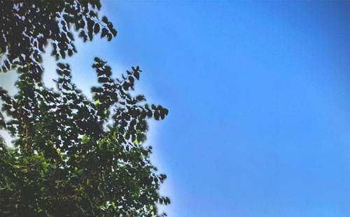 文灿股份：前三季度净利润235.74万元